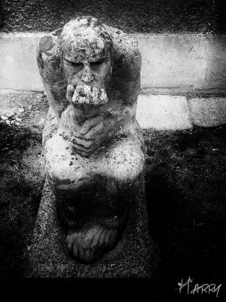 Introspection - 195_DxO.jpg 195_DxO.jpg