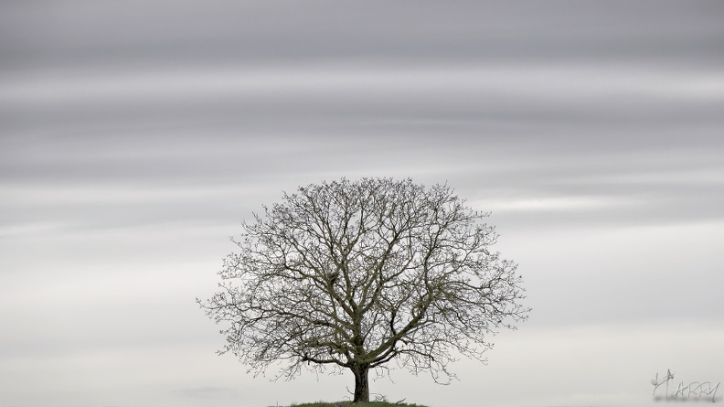 Silence - DSC_1872_harry3.jpg DSC_1872_harry3.jpg
