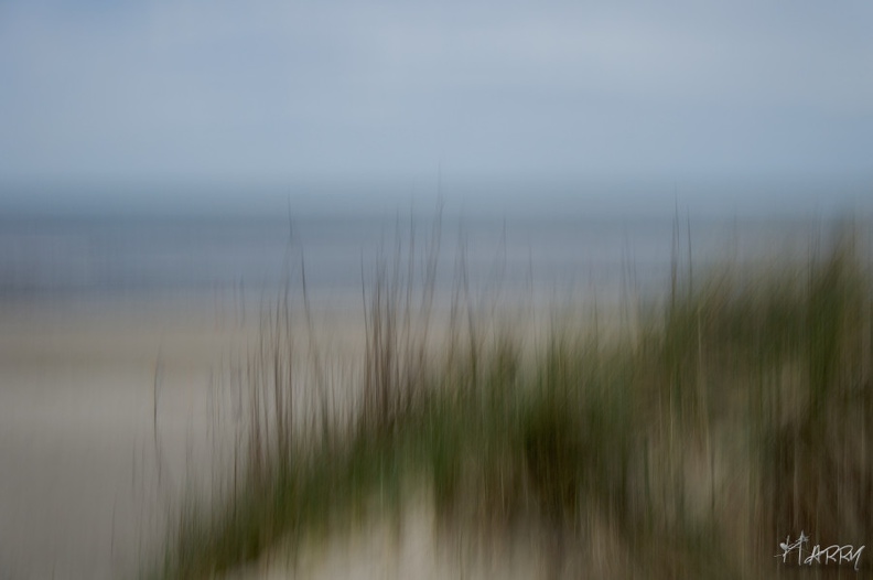 Dunes - dune.jpg dune.jpg
