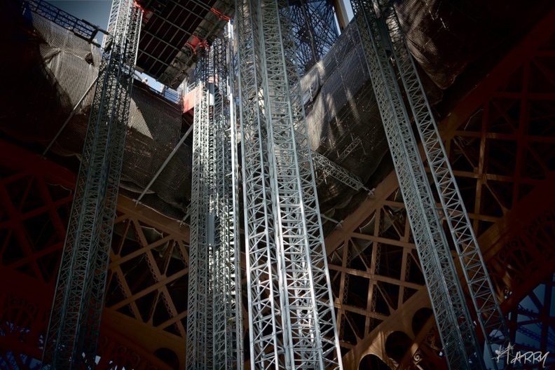 Les tuteurs - DSC_0342_DxO_2.jpg DSC_0342_DxO_2.jpg