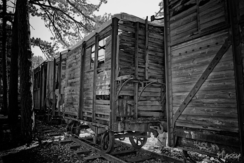 Western - DSC_0625_DxO_4nb.jpg DSC_0625_DxO_4nb.jpg