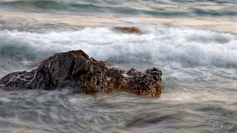 Caïman - 536_DxO.jpg 536_DxO.jpg